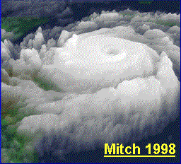 Mitch1998opt.gif (309845 bytes)